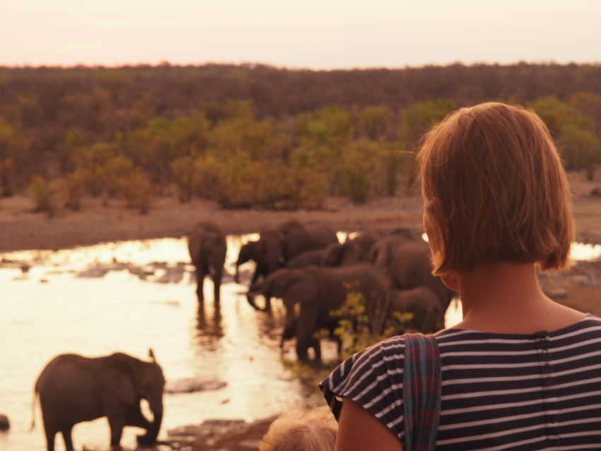 5 Gründe, warum Du dringend Pausen und Urlaub vom Musizieren machen solltest 1 Namibia PA130857 11