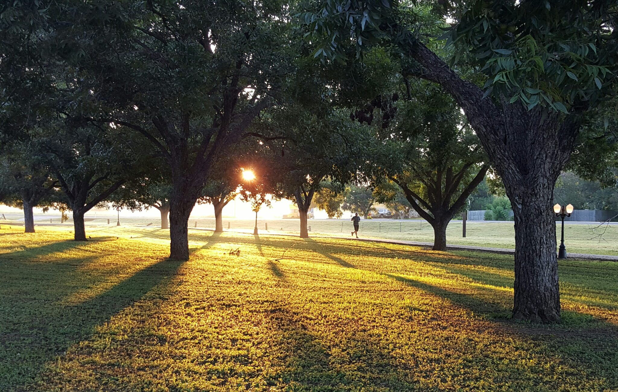jennifer-birdie-shawker-jz4EyFcTcBc-unsplash Laufen für Musiker*innen, Läufer im Park, Sonnenuntergang