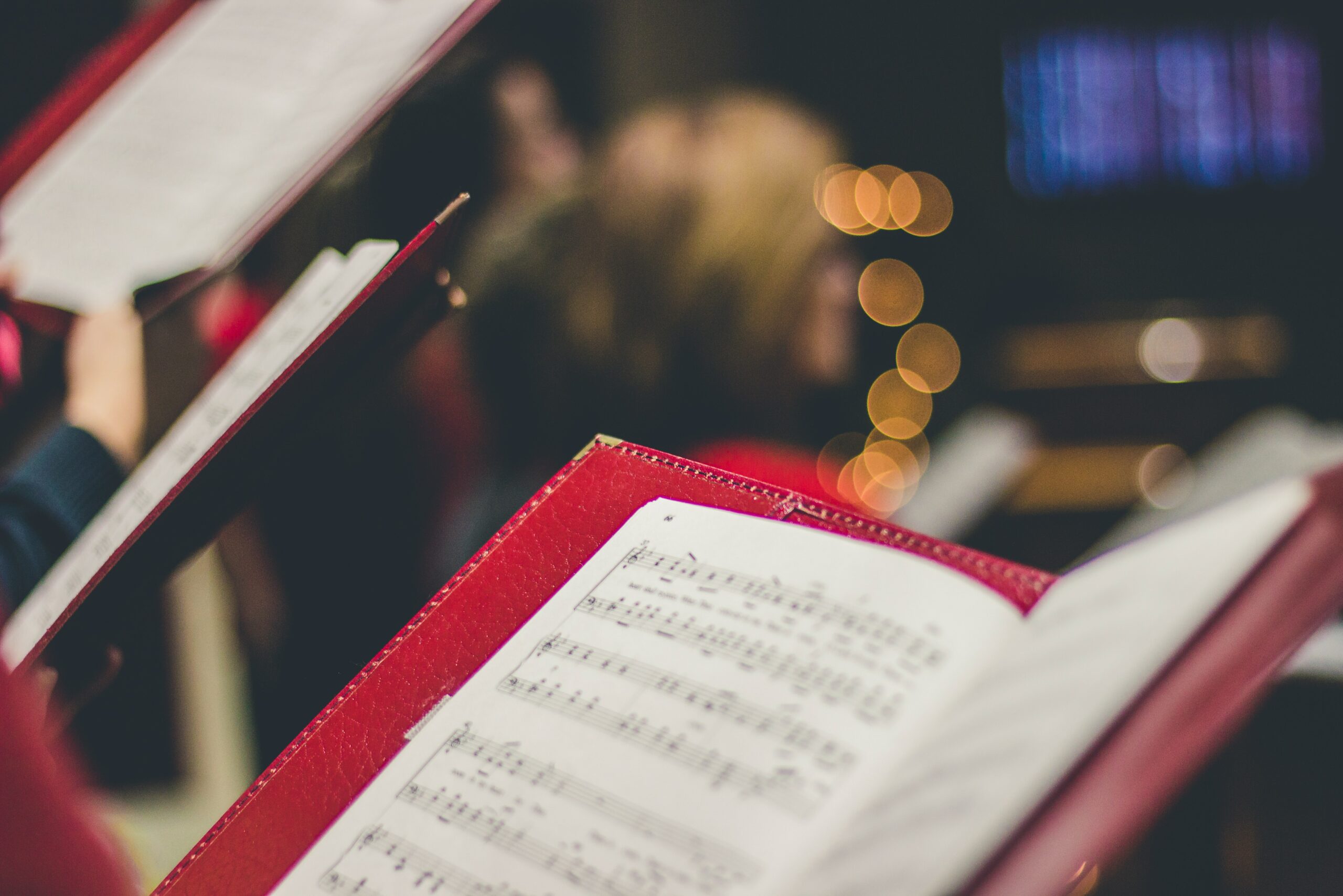 david-beale-gOsGgt4olNs-unsplash david beale gOsGgt4olNs unsplash scaled
