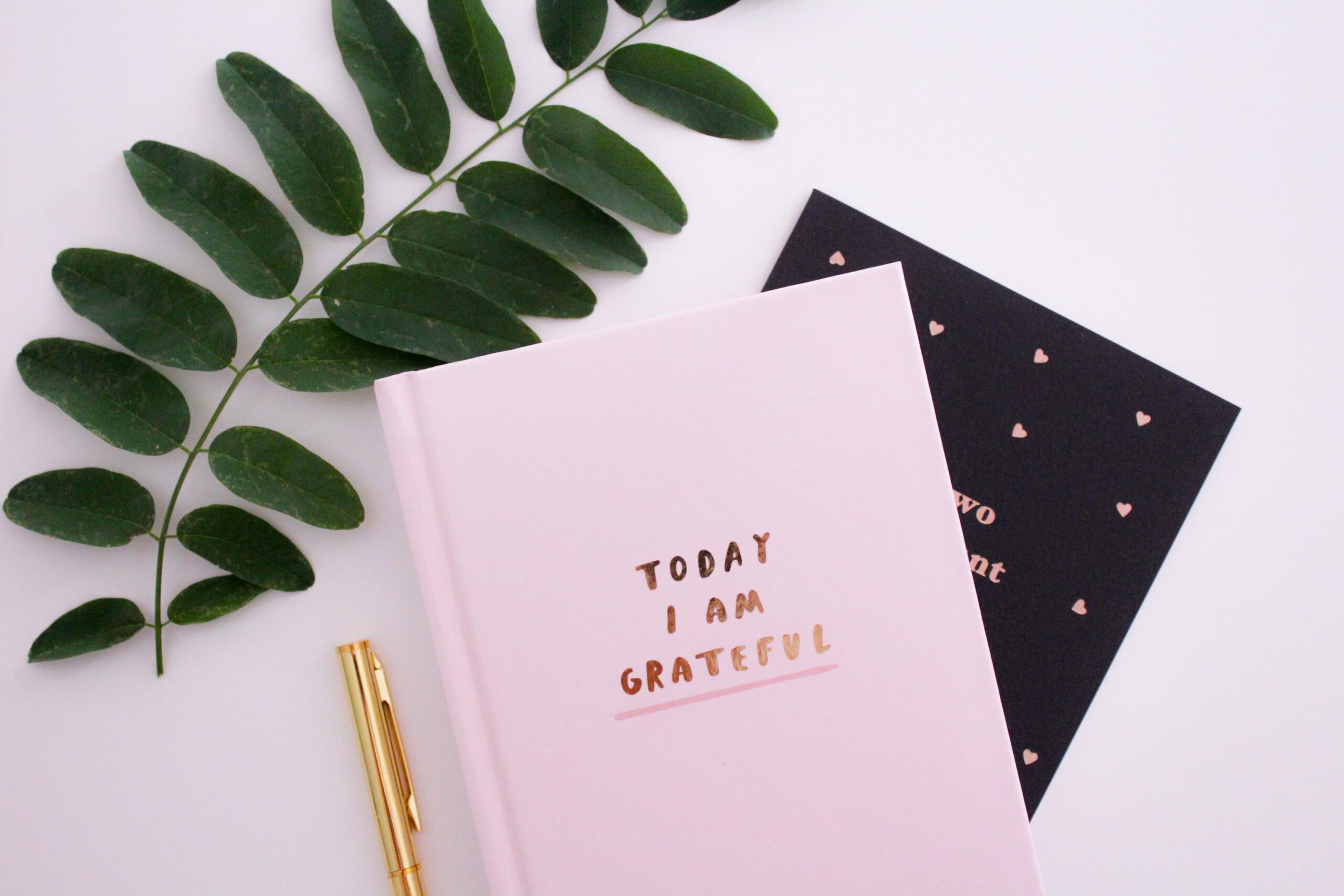 gabrielle-henderson-M4lve6jR26E-unsplash gabrielle henderson M4lve6jR26E unsplash scaled